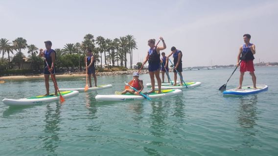 Puerto de Alcudia: Stand-Up Paddleboard Lesson