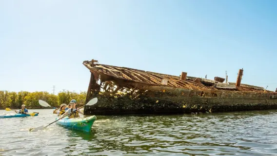 Adelaide: dalla città al mare, safari in bici e kayak