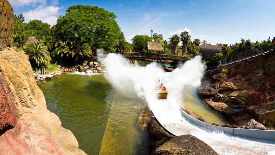 Salou: PortAventura Theme Park Entry Ticket