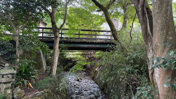 Kyoto: Scenic Day Trip to Ohara and Sanzen-in Temple
