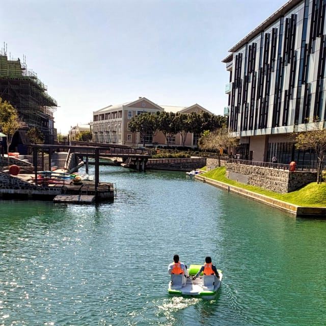 Pedal Boat Ride V&A Waterfront - Cape Town