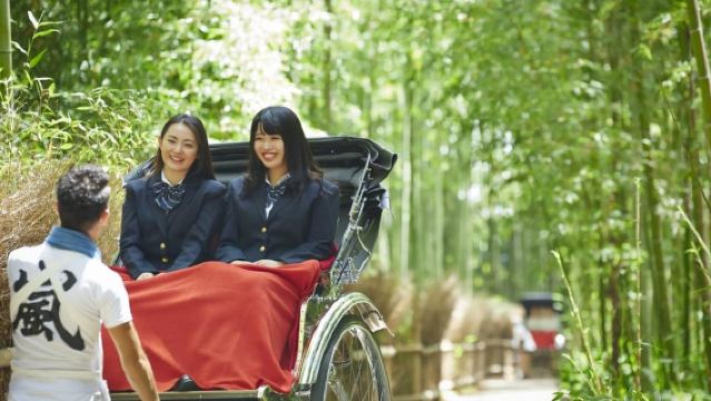 京都/大阪：奈良、伏見稻荷大社、嵐山巴士之旅