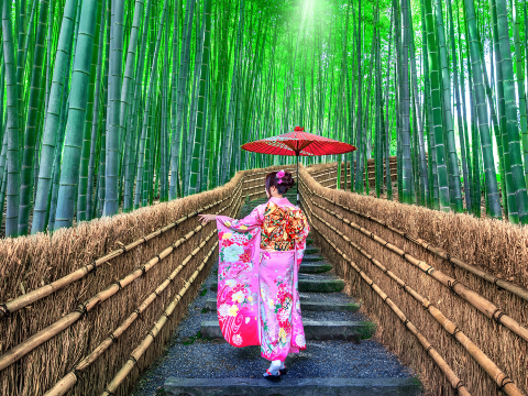 9人小團·京都嵐山+貴船神社+三千院一日遊丨可選嵯峨野小火車