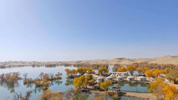 尉犁縣葫蘆島+塔克拉瑪干沙漠+胡楊一日遊