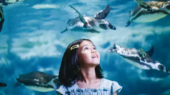 沖繩南部一日遊巴士/玻璃船+知念岬+瀨長島等/中文導遊同行