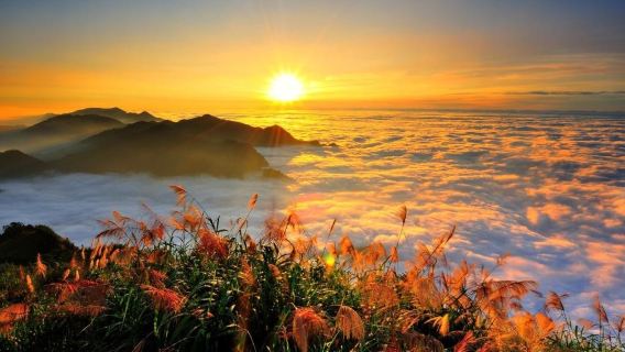 回嘉森呼吸經典行一日遊