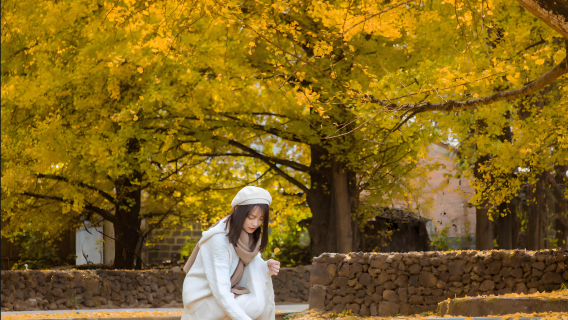 【銀杏村＋雲峰山一日遊】觀雲海賞銀杏 2–6 人精品純玩團