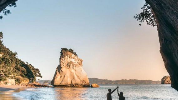 奧克蘭皇后大街+碼頭大樓+教堂灣包車一日遊【可定制行程】