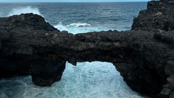 Gris Gris Beach + Pont Naturel + Speedboating with Dolphins/Speedboating to Chase Dolphins and Whales • Adventure 1-day Tour for Two or More