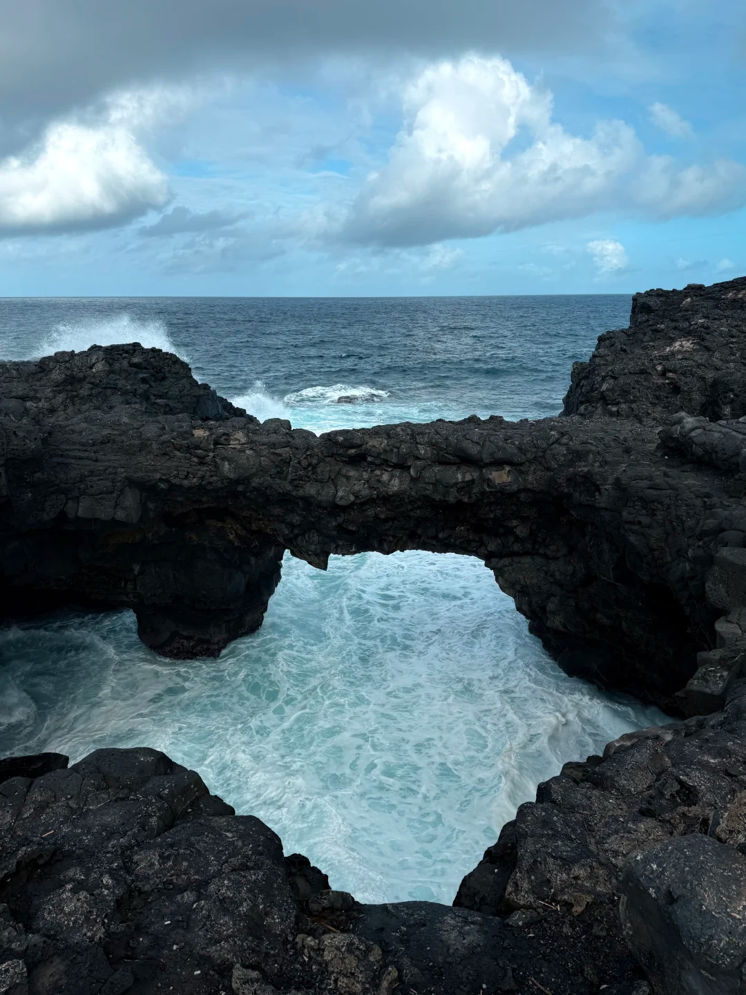 Gris Gris Beach + Pont Naturel + Speedboating with Dolphins/Speedboating to Chase Dolphins and Whales • Adventure 1-day Tour for Two or More
