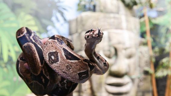 SEA LIFE Timmendorfer Strand Ticket