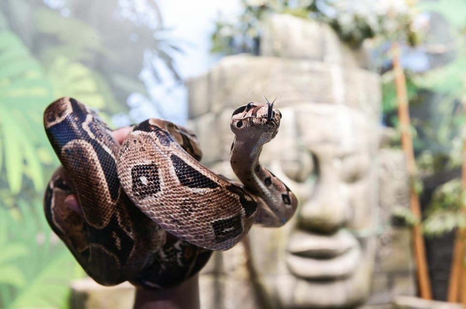 SEA LIFE Timmendorfer Strand Ticket