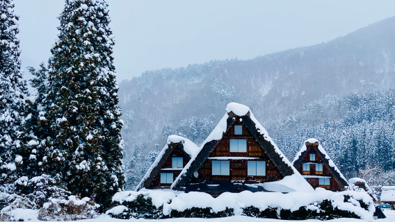 Excursión de un día a Takayama y las aldeas históricas de Shirakawa-go y Gokayama desde Nagoya, Japón