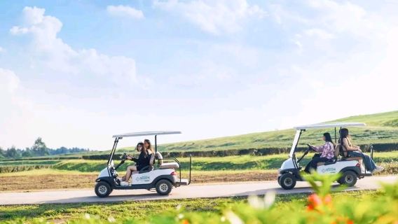 Chiang Rai 3 Temples + Golden Triangle Park 1-day tour[Private Small Group|Chinese and English guide|Minimum 2 people