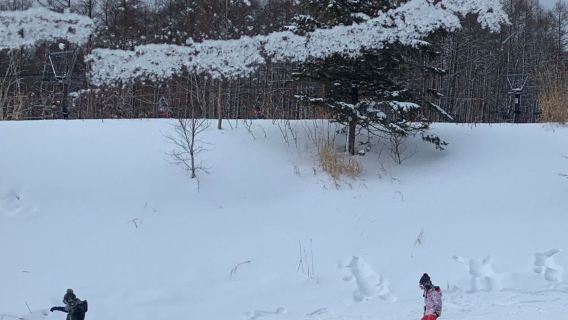 日本札幌國際滑雪場一日遊（私人教練+來回接送）|手稻 二世古 留壽都|其他滑雪場查詢客戶服務支援
