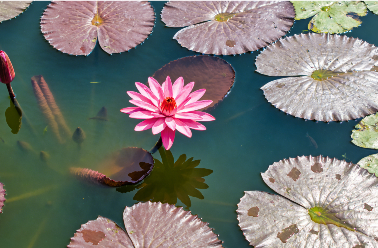 Blue Bricks and Black Tiles Reflecting the Wetland - A Rustic Rendezvous in the Intangible Cultural Heritage Ancient Village