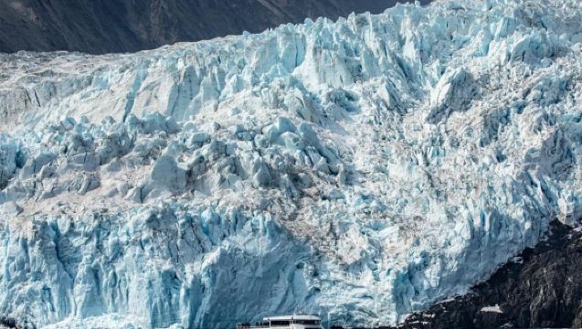 Seward: Captain's Choice Kenai-Fjords-Nationalpark Tour