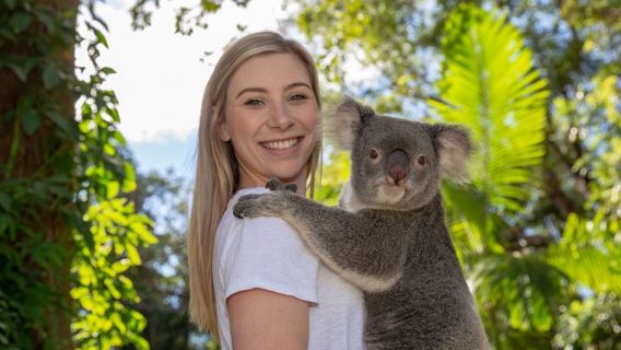 雷明頓國家公園+可倫賓野生動物保護區+黃金海岸海灘+Q1※