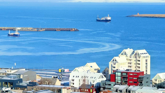 Professional Chinese Tour Guide in Iceland / Local Guide / Interpreter / In-Park Commentary