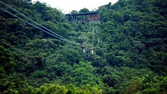保亭呀諾達熱帶雨林旅遊區一日遊