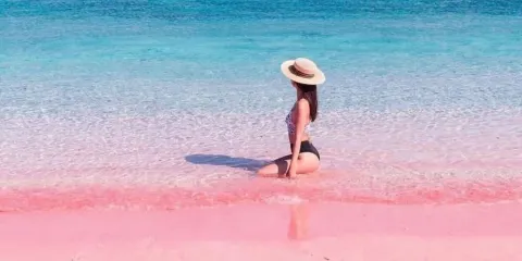 印尼科莫多一日遊【帕達爾島丨快艇出海丨尋龍之旅浮潛粉紅沙灘】