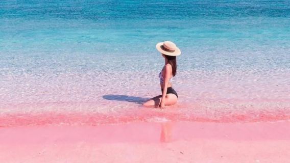 印尼科莫多一日遊【帕達爾島丨快艇出海丨尋龍之旅浮潛粉紅沙灘】