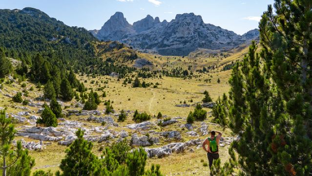 [Босния и Герцеговина | Из Коньица] Однодневный тур с пешим походом на гору Прень