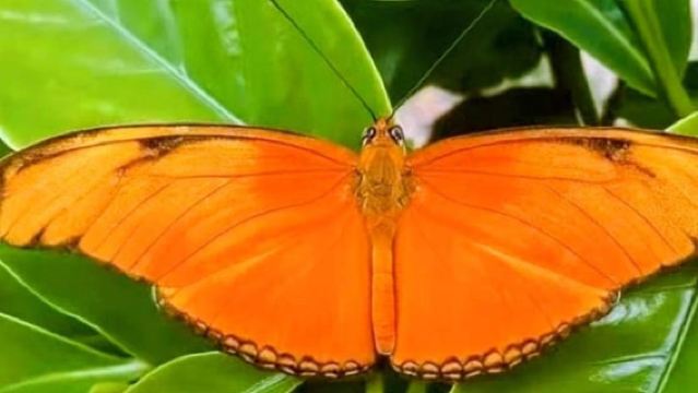 Tortuguero: Kayak Tour through the Natural Canals