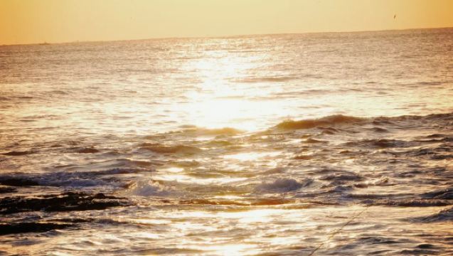 [9-Personen-Gruppe/Hoteltransfer] Tagesausflug zur Hitachi-Seaside-Park-Blumenküste in Ibaraki, Japan: Ōarai Isosaki-Schrein