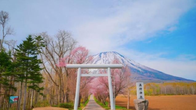 日本北海道伊達時代村+真狩村+名水公園一日遊【羊蹄山絕景】