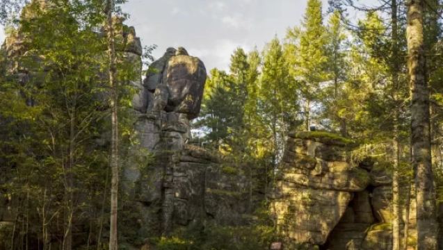 【2-8人小團】湯旺河林海奇石景區+新青濕地+鹿溪牧場一日遊