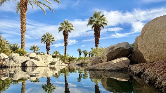 美國洛杉磯來回-棕櫚泉-約書亞樹國家公園定制包車【市區接駁】