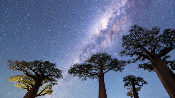 [Charterfahrt] Madagaskar Rundreise - Antananarivo | optional chinesischsprachiger Reiseleiter/Begleitung