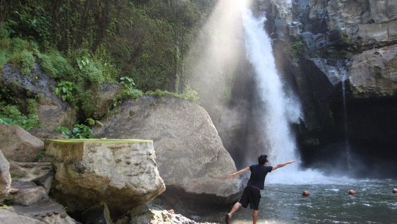 Passeio Privativo Personalizado pelos Destaques de Ubud