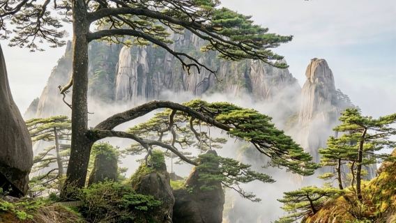 Perkhidmatan Penerangan Berpandu di Kawasan Pemandangan Gunung Huangshan + Puncak Tiandu [Termasuk Temujanji Puncak Tiandu]