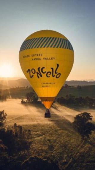 Долина Ярра (Yarra Valley) | Винодельни | Полёт на воздушном шаре с индивидуальным трансфером