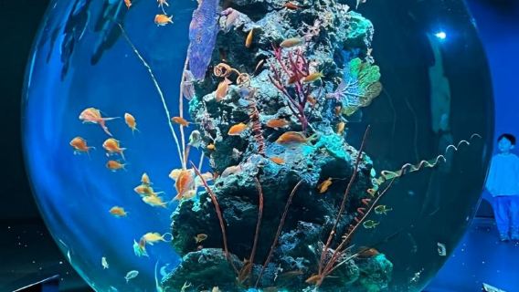 Excursión de un día al Jardín de Hierbas Nunobiki y al acuario ATOA de moda en Instagram - Salida garantizada con 4 personas