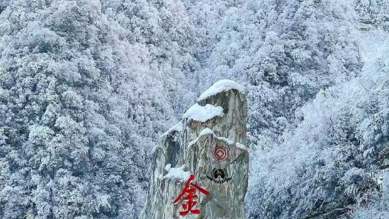 1-day tour to Jinfo Mountain in Chongqing for summer retreat (admission ticket not included)