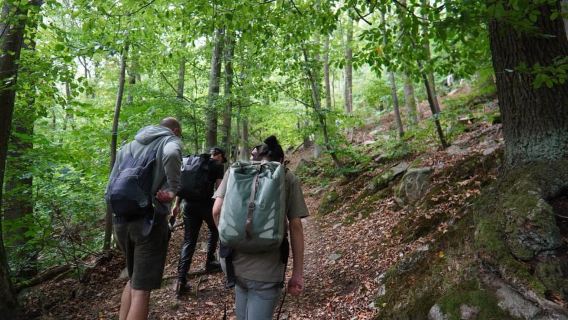 Stuttgart: Mindful Hike to Lichtenstein Castle with Transfer