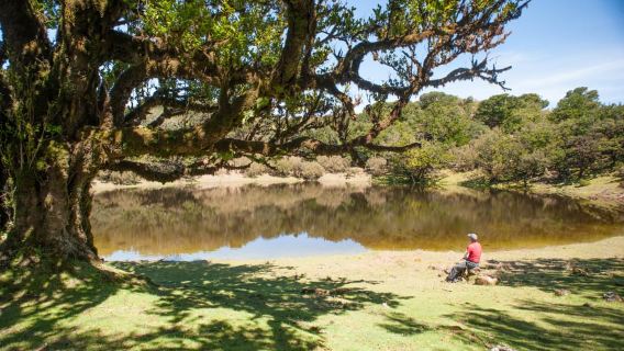Madeira: Fanal Assobiadores Trail