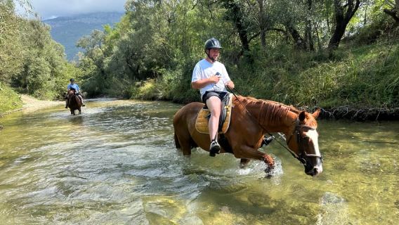 Dubrovnik: Horseback Ride with River Crossing & Snacks