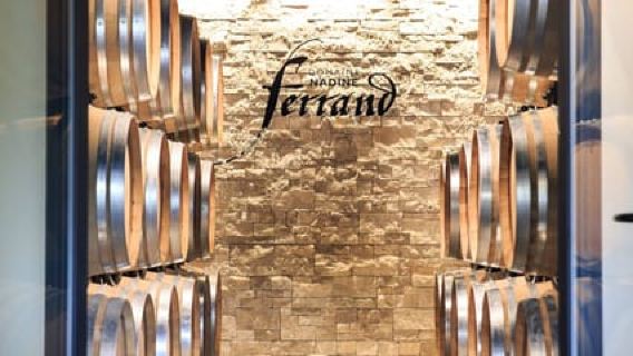 Mâcon: Visit and Tasting of the Estate's Wines