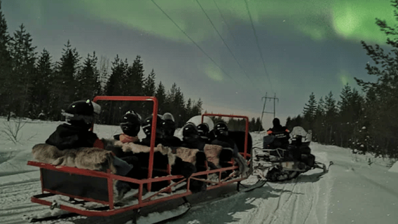 Levi: Passeio de Trenó sob a Aurora Boreal