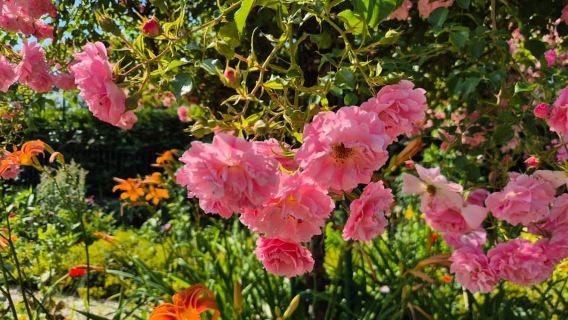 巴黎出發：吉維尼莫內故居與花園半日遊