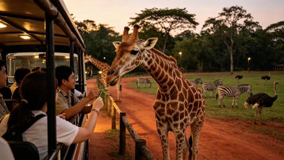 Chiang Mai Night Safari guided tour|admission ticket (show) + sightseeing tram included