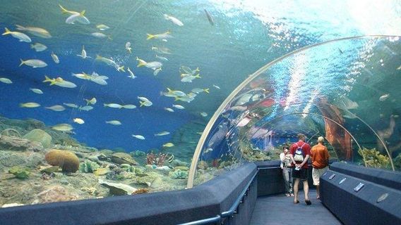 PattayaTours