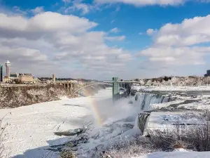 Power of Niagara Winter Tour from USA