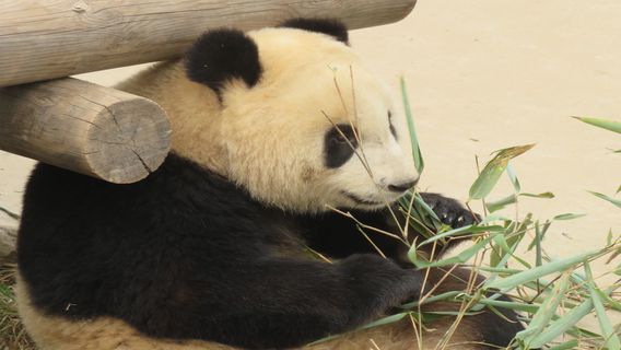 西安特色體驗