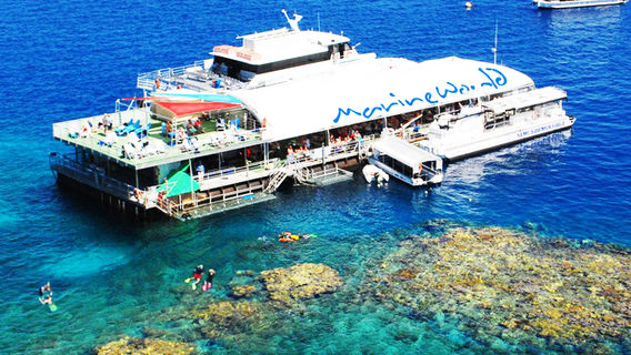CairnsTours