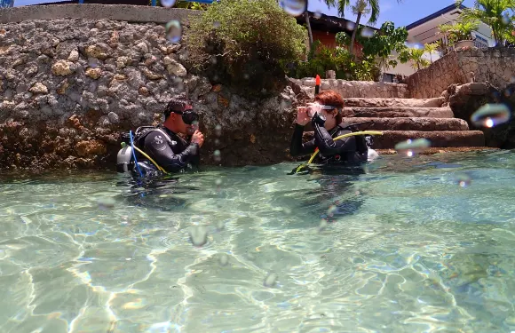 菲律賓宿霧體驗潛水水肺潛水2小時【潛水海灘入口 1 次潛水（麥克坦島）】